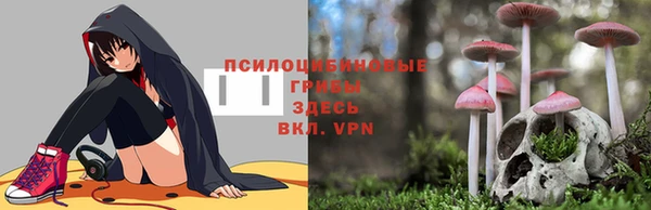 мяу мяу мука Конаково