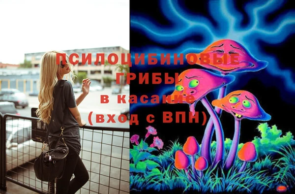 крисы Приозерск