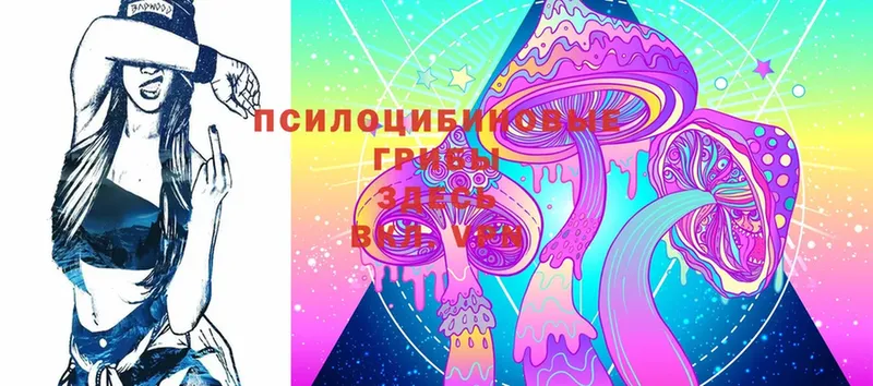 Галлюциногенные грибы Magic Shrooms  Кунгур 