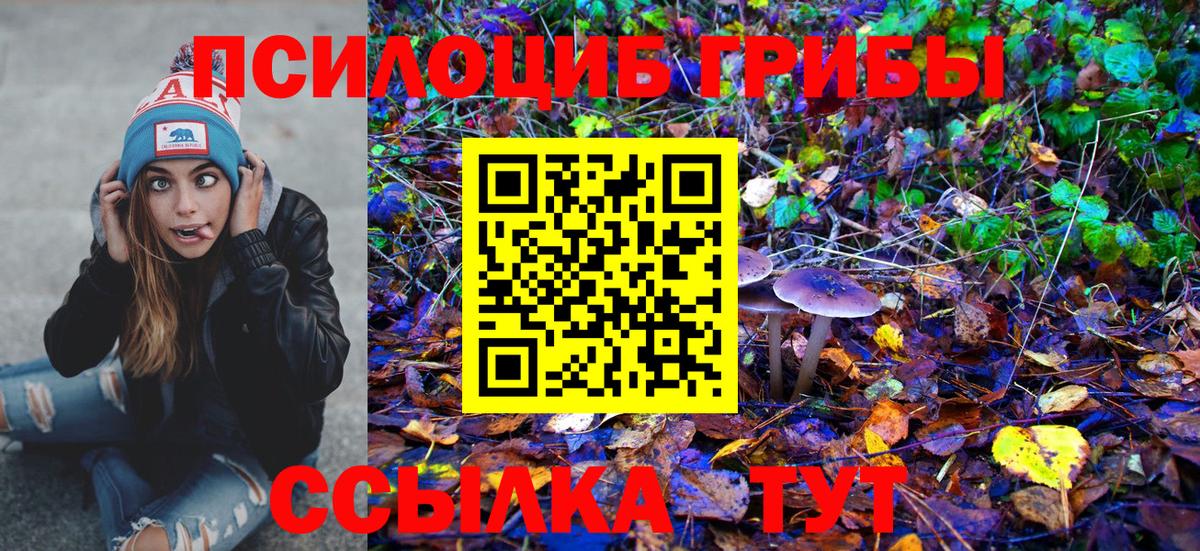Кунгур  Галлюциногенные грибы Cubensis  Вход с VPN 