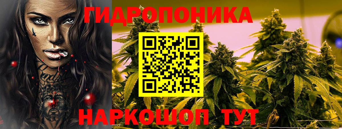 Бошки марихуана SATIVA & INDICA  МАРИХУАНА ГИДРОПОН  Кунгур  Вход с VPN  Каннабис MAZAR  Бошки Шишки VHQ 